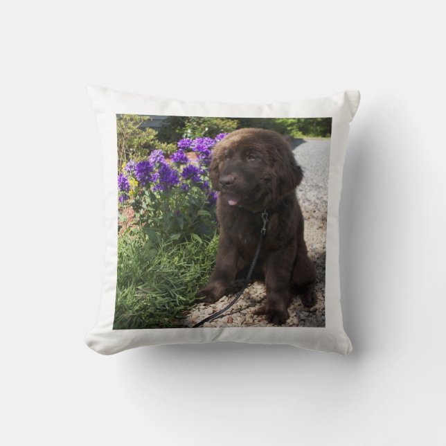 Brown Newfoundland Dog Pup Throw Pillow (Front)