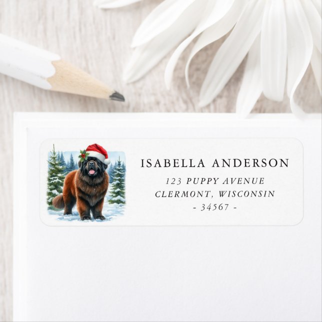 Brown Newfoundland Dog Winter Watercolor Address Label (Insitu)