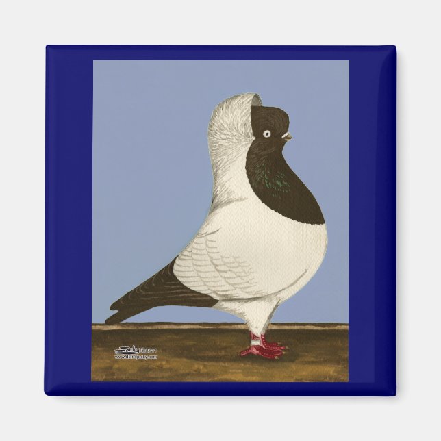 Brown Nun Pigeon Magnet (Front)