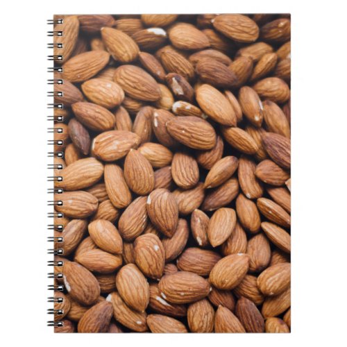 Brown nuts notebook