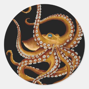 Brown Octopus Blue Eye Black Art Classic Round Sticker by EveyArtStore at Zazzle