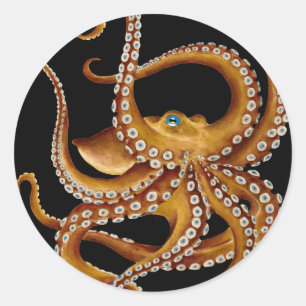 Brown Octopus Blue Eye Black Art Classic Round Sticker