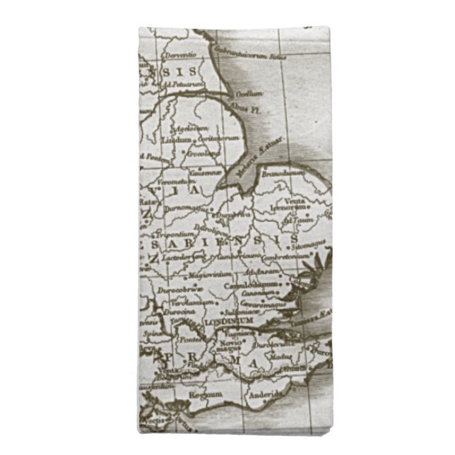 Brown Old World Antique Map Napkin Set (4) (Folded)