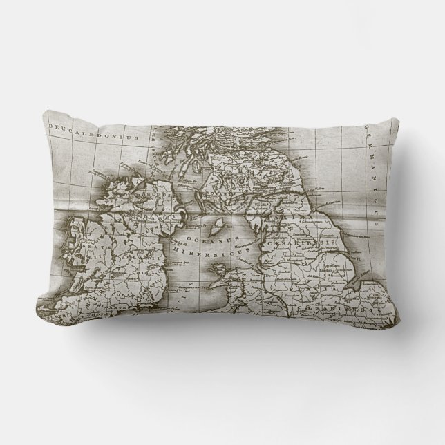 Brown Old World Antique Map Throw Pillow (Front)