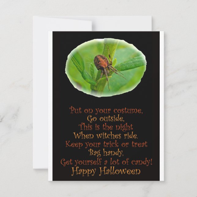 Brown Orange Araneus Halloween Party Invitation (Front)