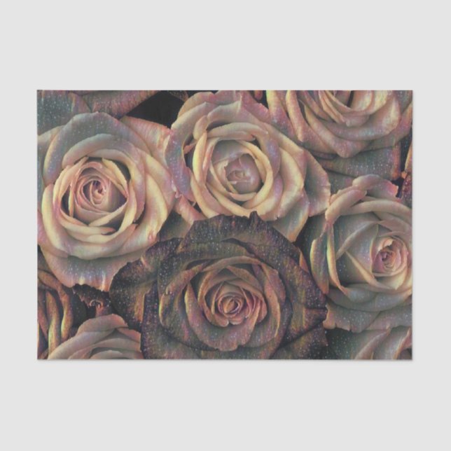 Brown, orange, gold roses Tissue Paper (Front)