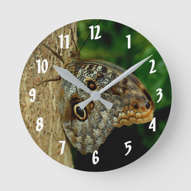 Brown Owl Butterfly Animal Art Round Clock (Front)