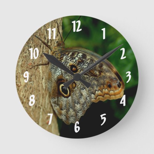 Brown Owl Butterfly Animal Art Round Clock