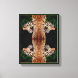 Brown Owl Butterfly Close Up Nature Abstract Canvas Print