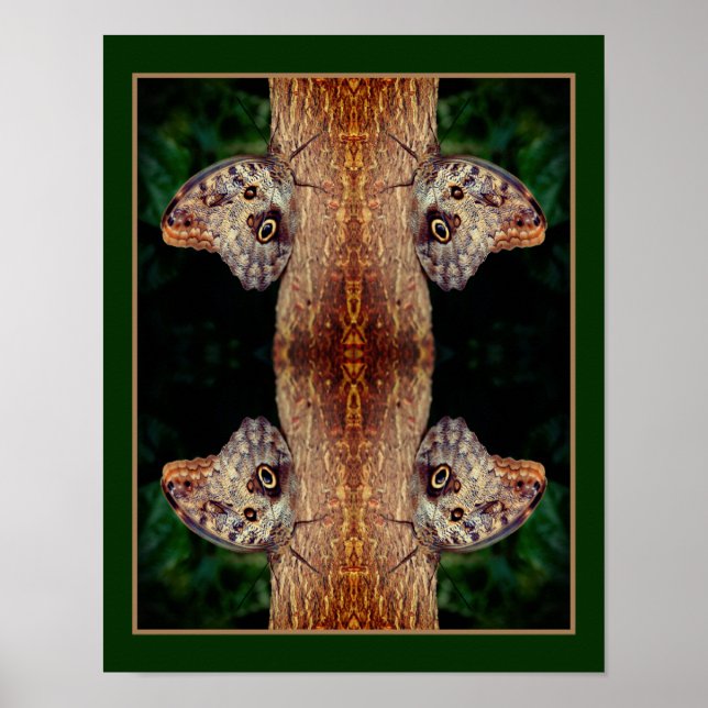 Brown Owl Butterfly Close Up Nature Abstract  Poster (Front)