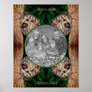 Brown Owl Butterfly Frame Create Your Own Photo Poster