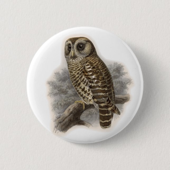 Brown Owl Button (Front)