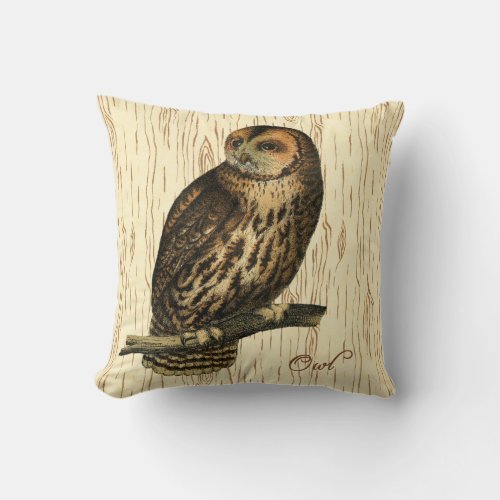 Brown Owl Cushion Wood Background