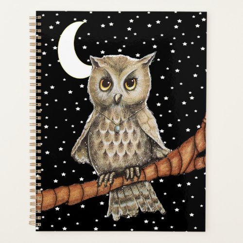 Brown Owl Pretty Eyes Blue Necklace Moon Stars Planner