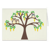 Brown Owls in a Laburnum Tree (Front Horizontal)