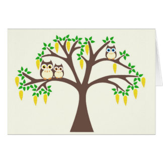 Brown Owls in a Laburnum Tree Cards