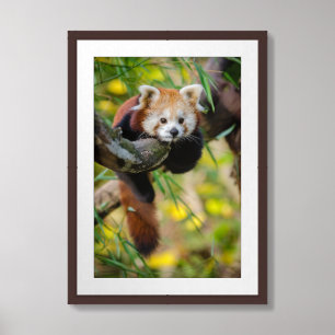 “Brown Panda” 16” x 24” Framed and Matted Art