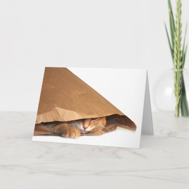 Brown paper bag cat card (Front)