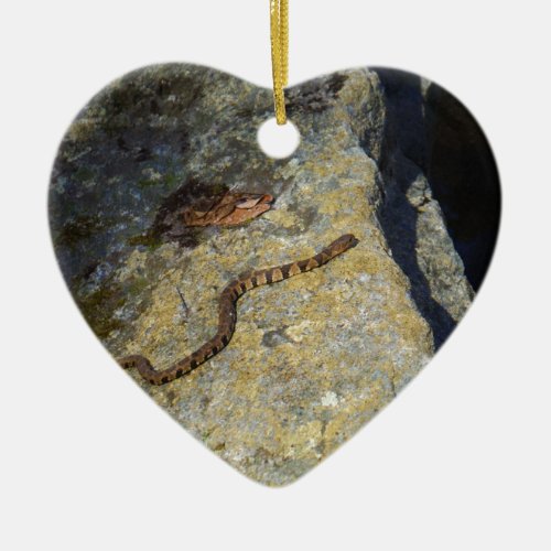 Brown pattern snake on Rock Ceramic Ornament