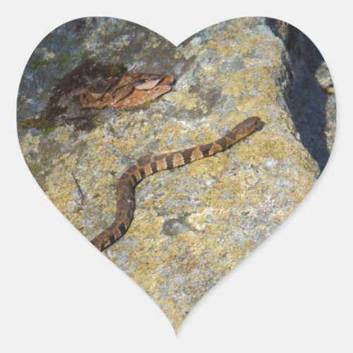 Brown pattern snake on Rock Heart Sticker
