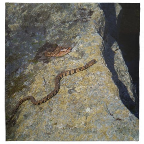 Brown pattern snake on Rock Napkin