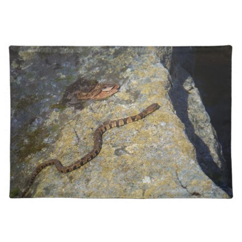 Brown pattern snake on Rock Placemat