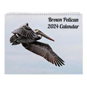 Brown Pelican 2024 Calendar