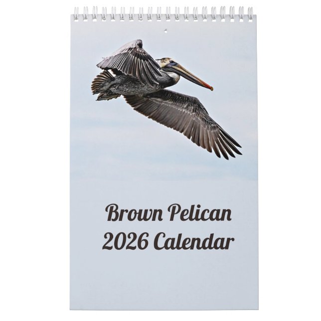 Brown Pelican 2026 Calendar (Cover)