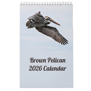 Brown Pelican 2026 Calendar