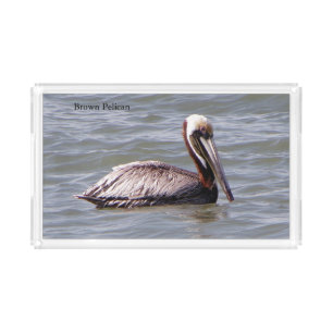 Brown Pelican acrylic tray