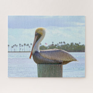Brown Pelican and Palm Trees Jigsaw Puzzle