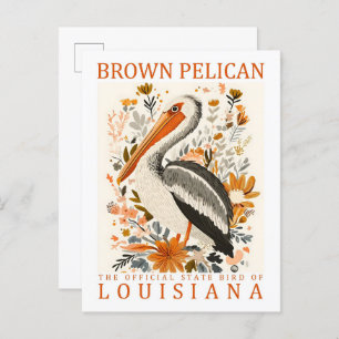 Brown Pelican Bird of Louisiana USA Travel Postcard