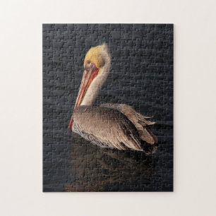 Brown Pelican Bird Wildlife Animals Ocean Puzzle