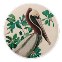 Brown Pelican Birds of America Audubon Print Ceramic Knob