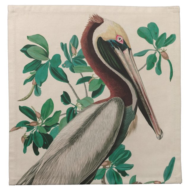 Brown Pelican Birds of America Audubon Print Cloth Napkin (Front)
