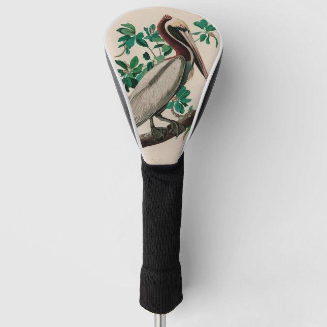 Brown Pelican Birds of America Audubon Print Golf Head Cover (Front)