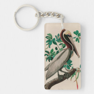 Brown Pelican Birds of America Audubon Print Keychain