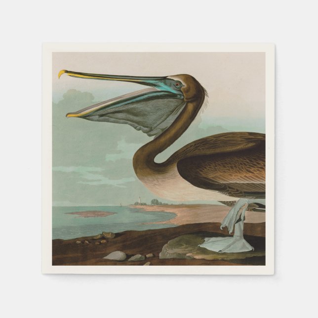 Brown Pelican Birds of America Audubon Print Napkins (Front)