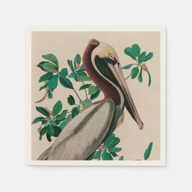 Brown Pelican Birds of America Audubon Print Napkins (Front)