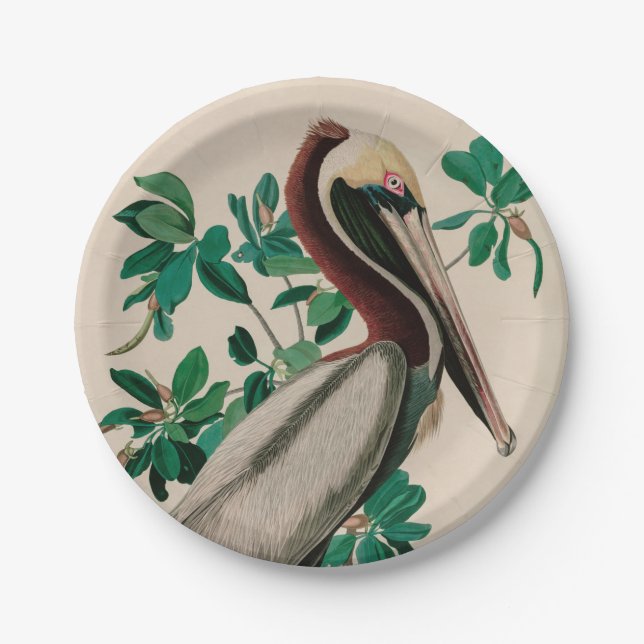 Brown Pelican Birds of America Audubon Print Paper Plates (Front)