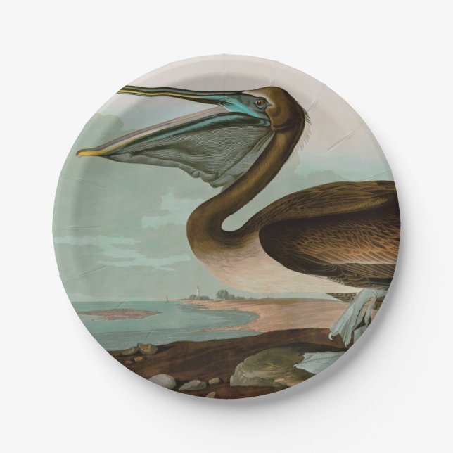 Brown Pelican Birds of America Audubon Print Paper Plates (Front)