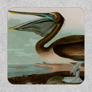 Brown Pelican Birds of America Audubon Print Patch