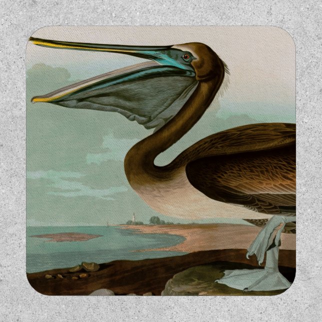 Brown Pelican Birds of America Audubon Print Patch (Front)