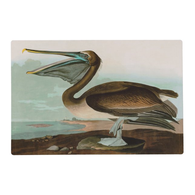 Brown Pelican Birds of America Audubon Print Placemat (Front)
