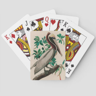 Brown Pelican Birds of America Audubon Print Poker Cards