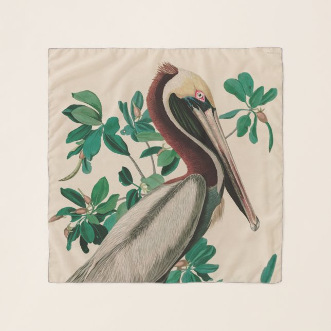 Brown Pelican Birds of America Audubon Print Scarf (Front)