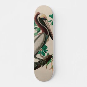 Brown Pelican Birds of America Audubon Print Skateboard