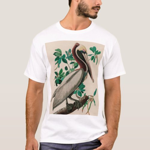 Brown Pelican Birds of America Audubon Print T_Shirt