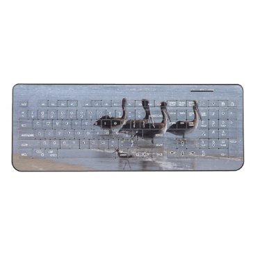 Brown Pelican Birds Wildlife Sea Wireless Keyboard Brown Pelican Birds Wildlife Sea Wireless Keyboard