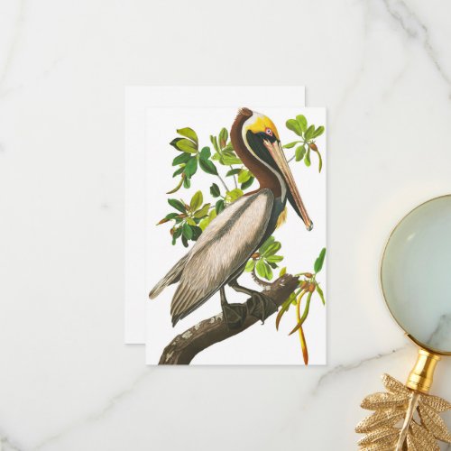 Brown Pelican by John James Audubon Thank You Card